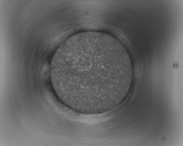 X0000113570029200910091449