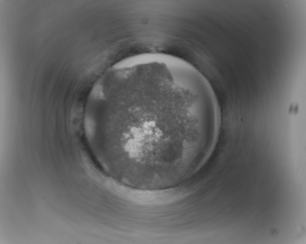 X0000113570030200910091449