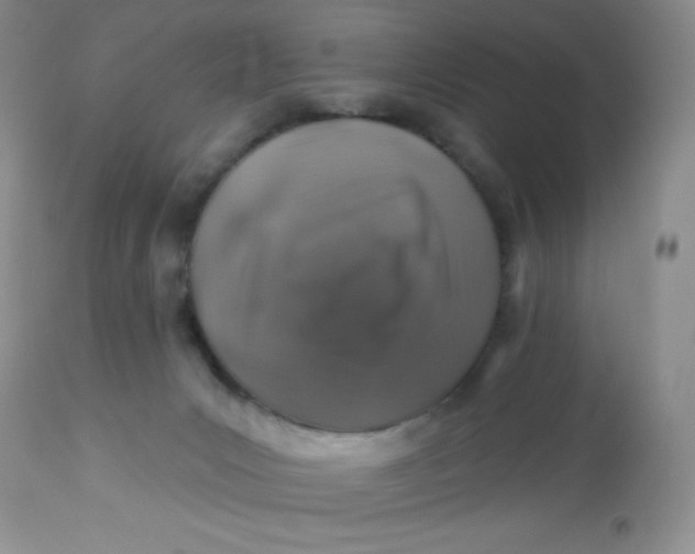 X0000113570031200910091449