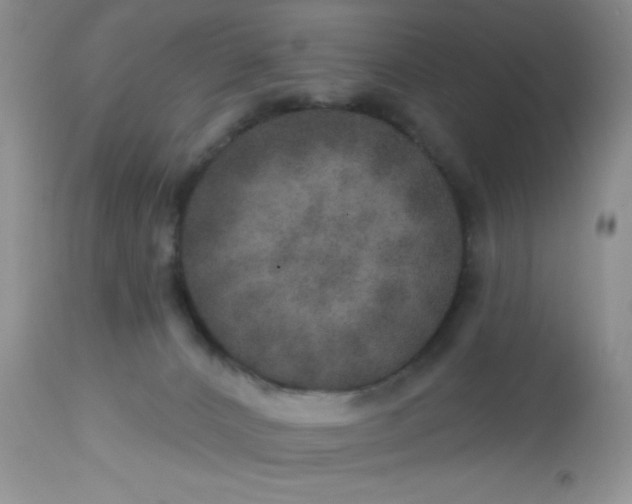 X0000113570032200910091449