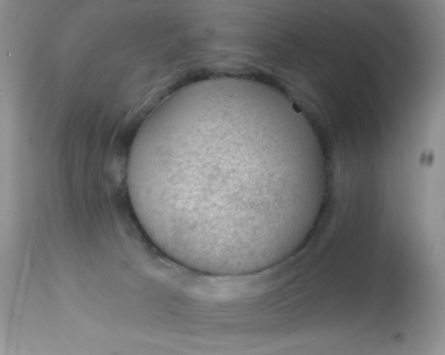 X0000113570033200910091449