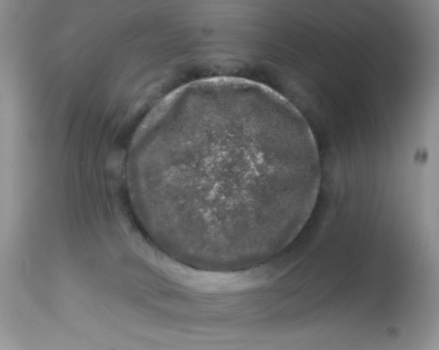 X0000113570034200910091449