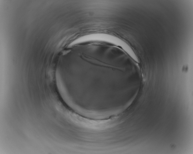 X0000113570035200910091449