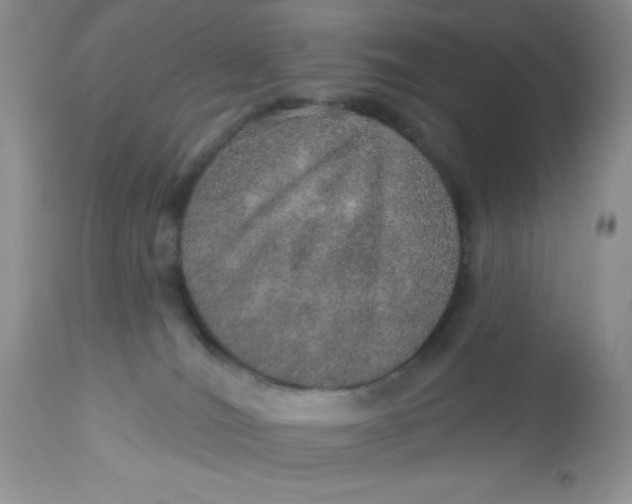 X0000113570036200910091449