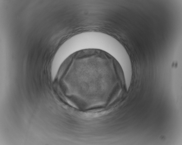 X0000113570037200910091449