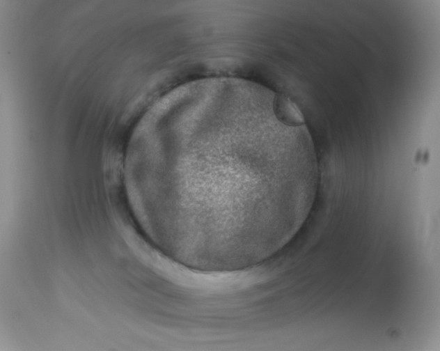 X0000113570038200910091449