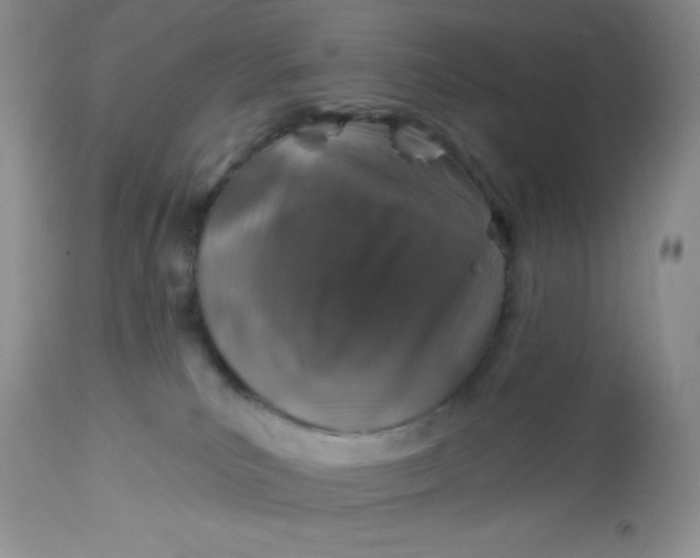 X0000113570039200910091449