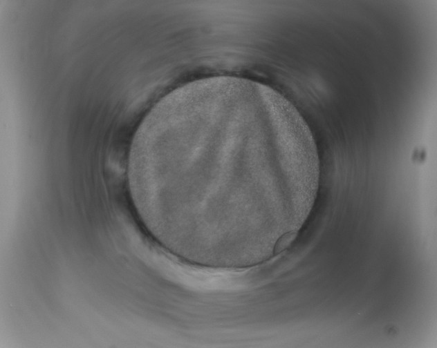 X0000113570040200910091449