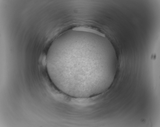 X0000113570041200910091449