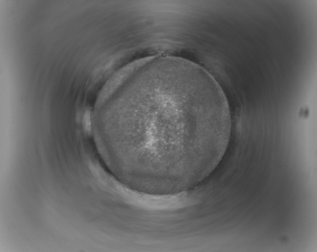 X0000113570042200910091449