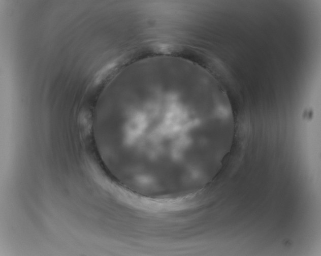 X0000113570043200910091449