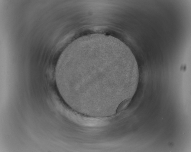 X0000113570044200910091449