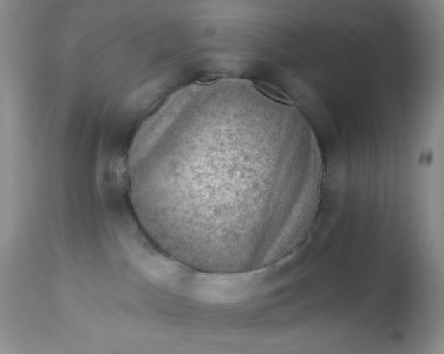 X0000113570045200910091449