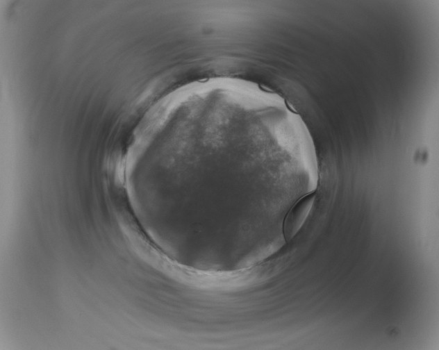 X0000113570046200910091449