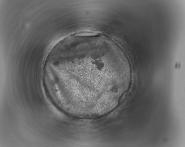 X0000113570049200910091448