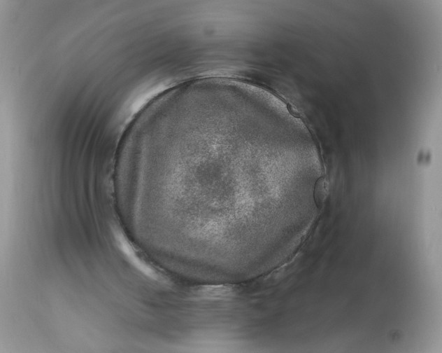 X0000113570050200910091448