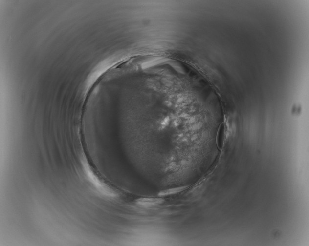 X0000113570051200910091448