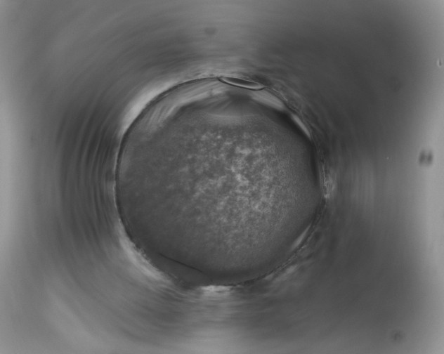 X0000113570052200910091448