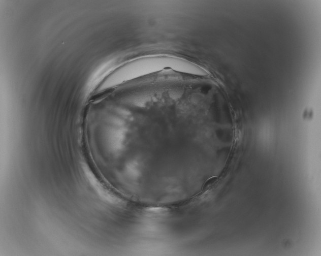 X0000113570053200910091448