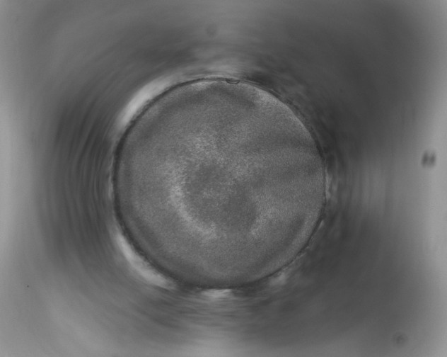 X0000113570054200910091448