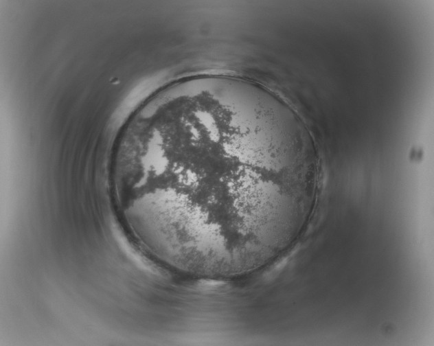 X0000113570055200910091448