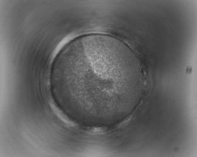 X0000113570056200910091448