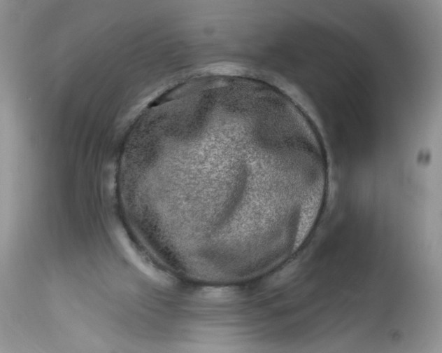 X0000113570057200910091448