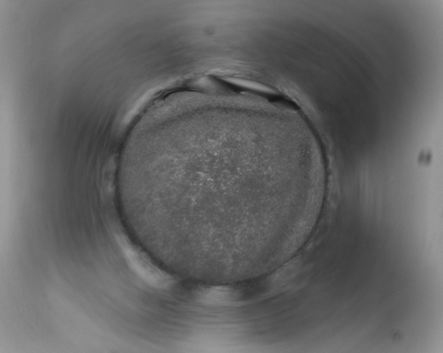 X0000113570058200910091448