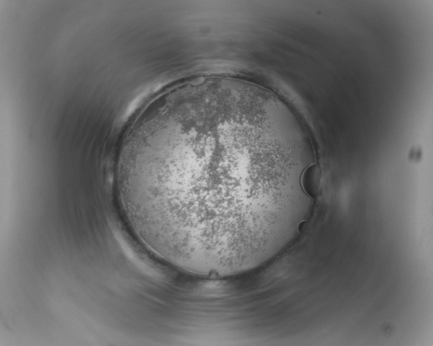 X0000113570059200910091448