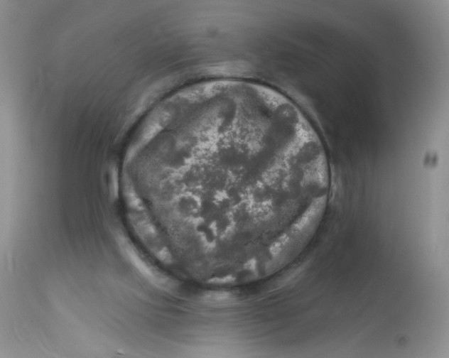 X0000113570061200910091448