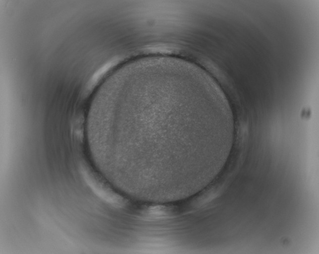 X0000113570064200910091448