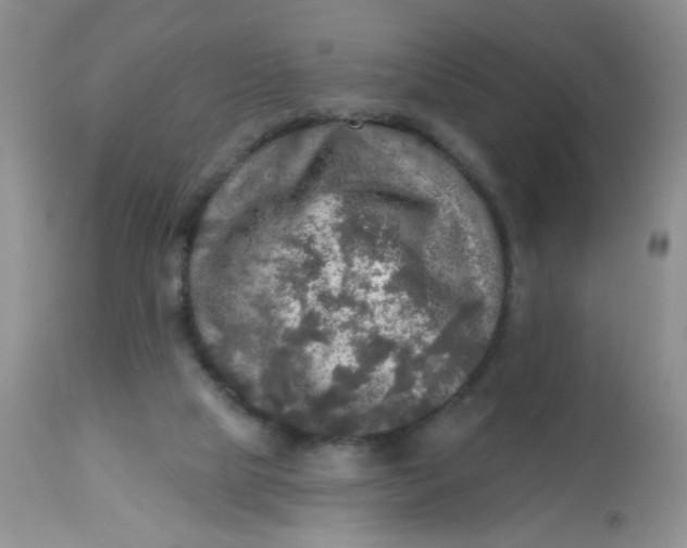 X0000113570065200910091448