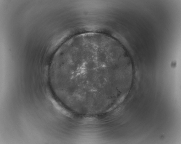 X0000113570066200910091448