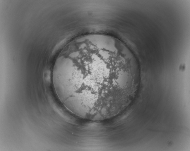 X0000113570067200910091448