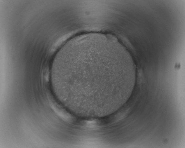 X0000113570068200910091448