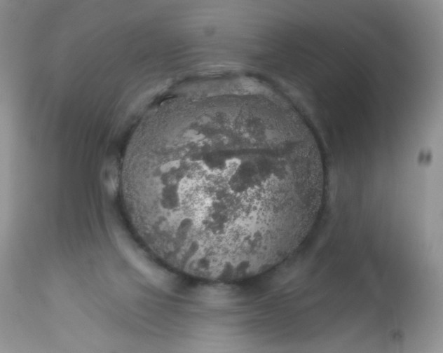 X0000113570069200910091448