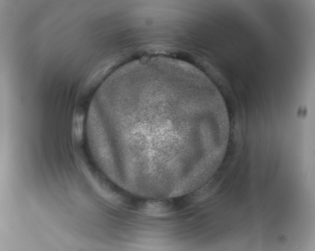 X0000113570070200910091448