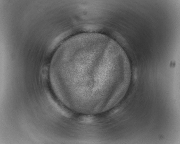 X0000113570071200910091449