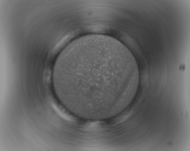 X0000113570072200910091449