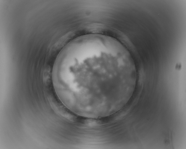 X0000113570073200910091449