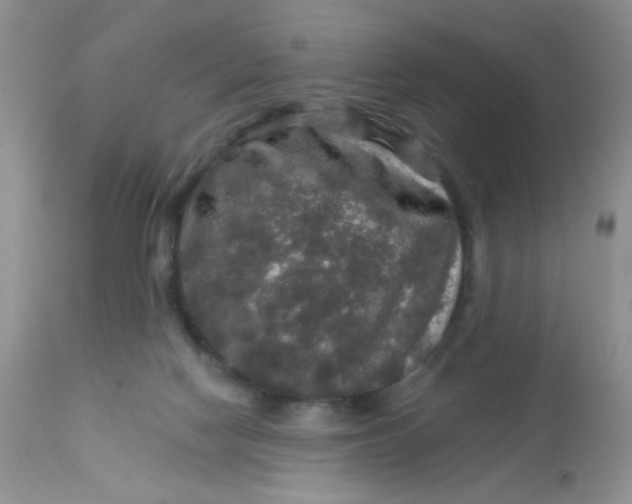 X0000113570074200910091449