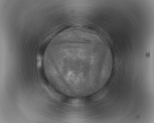 X0000113570075200910091449