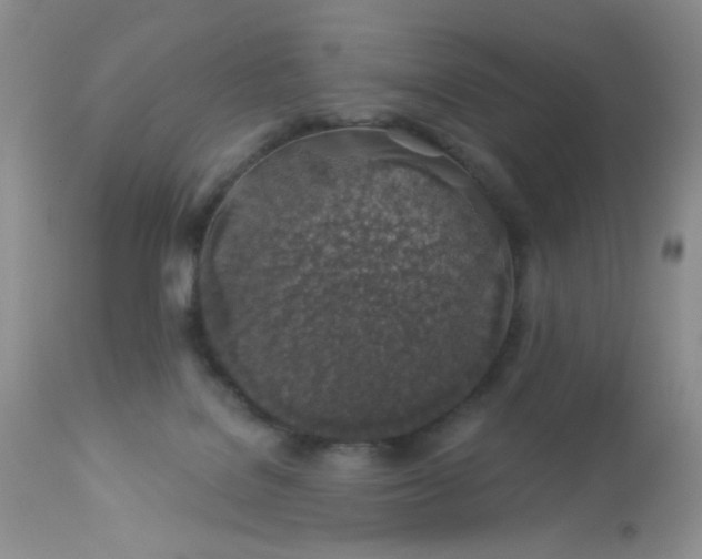 X0000113570076200910091449