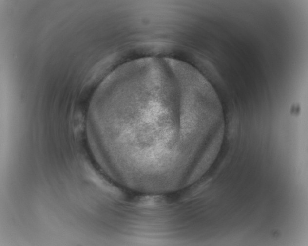 X0000113570077200910091449