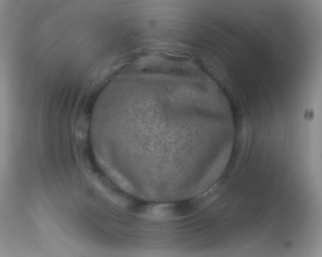 X0000113570078200910091449