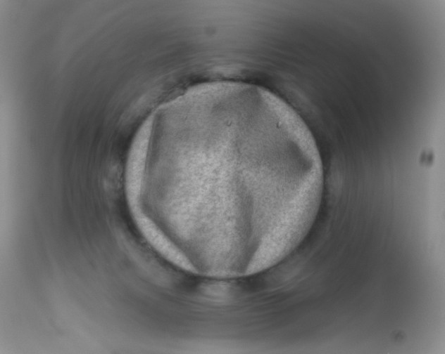 X0000113570079200910091449