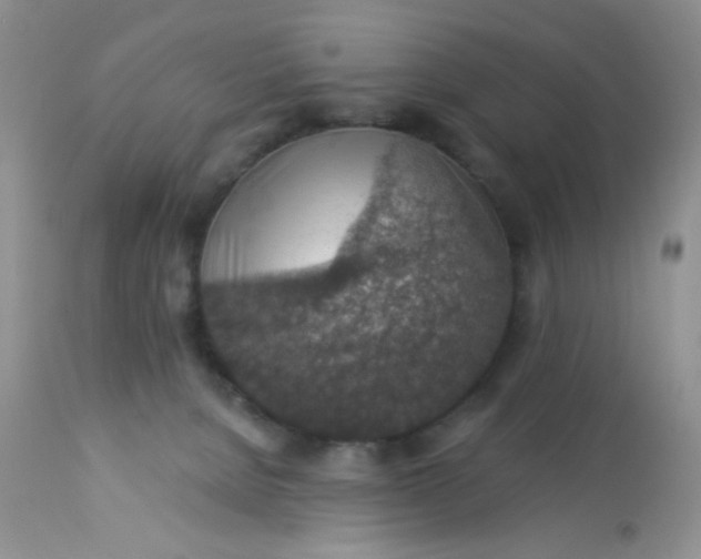 X0000113570080200910091449