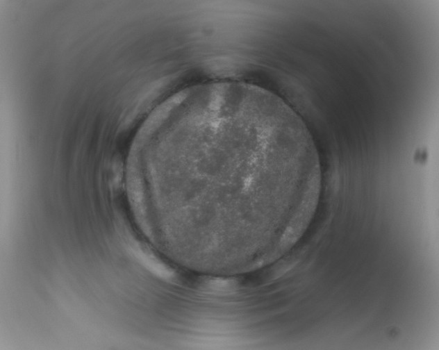 X0000113570081200910091449