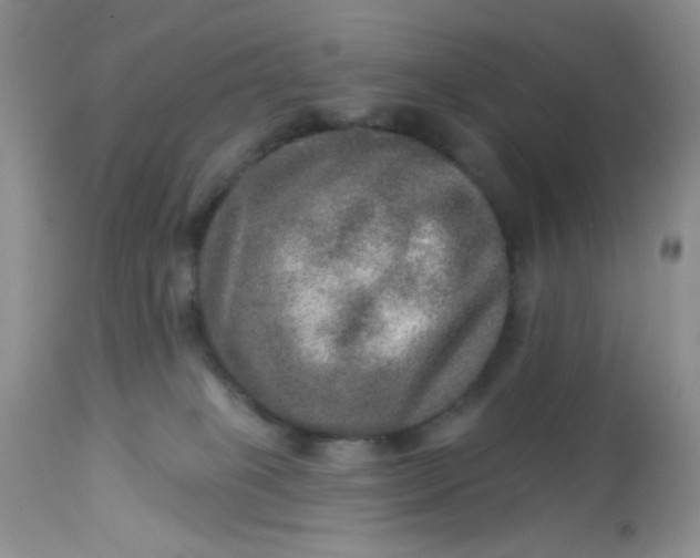 X0000113570085200910091449