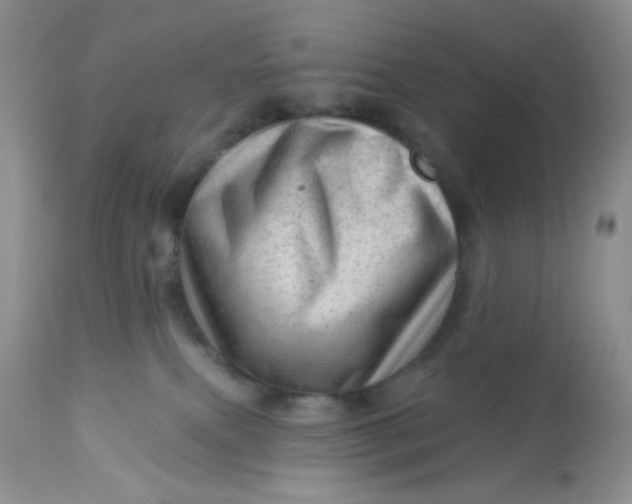 X0000113570087200910091449